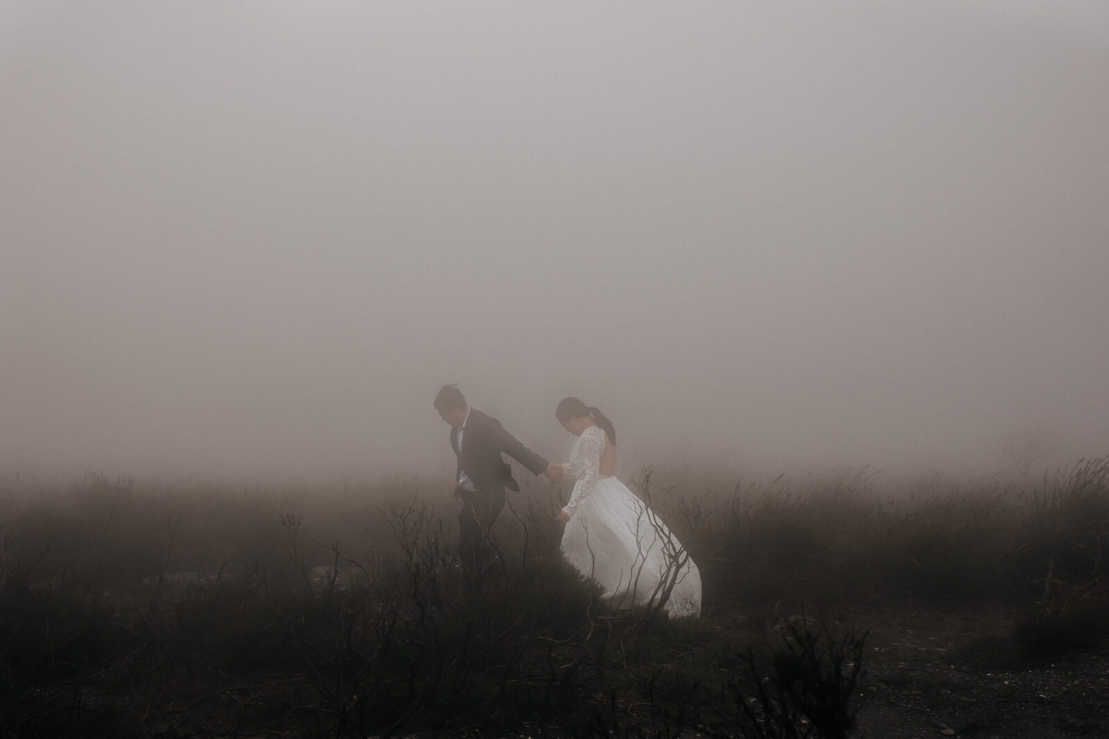Wedding shoot on Bluff Knoll, Stirling Ranges