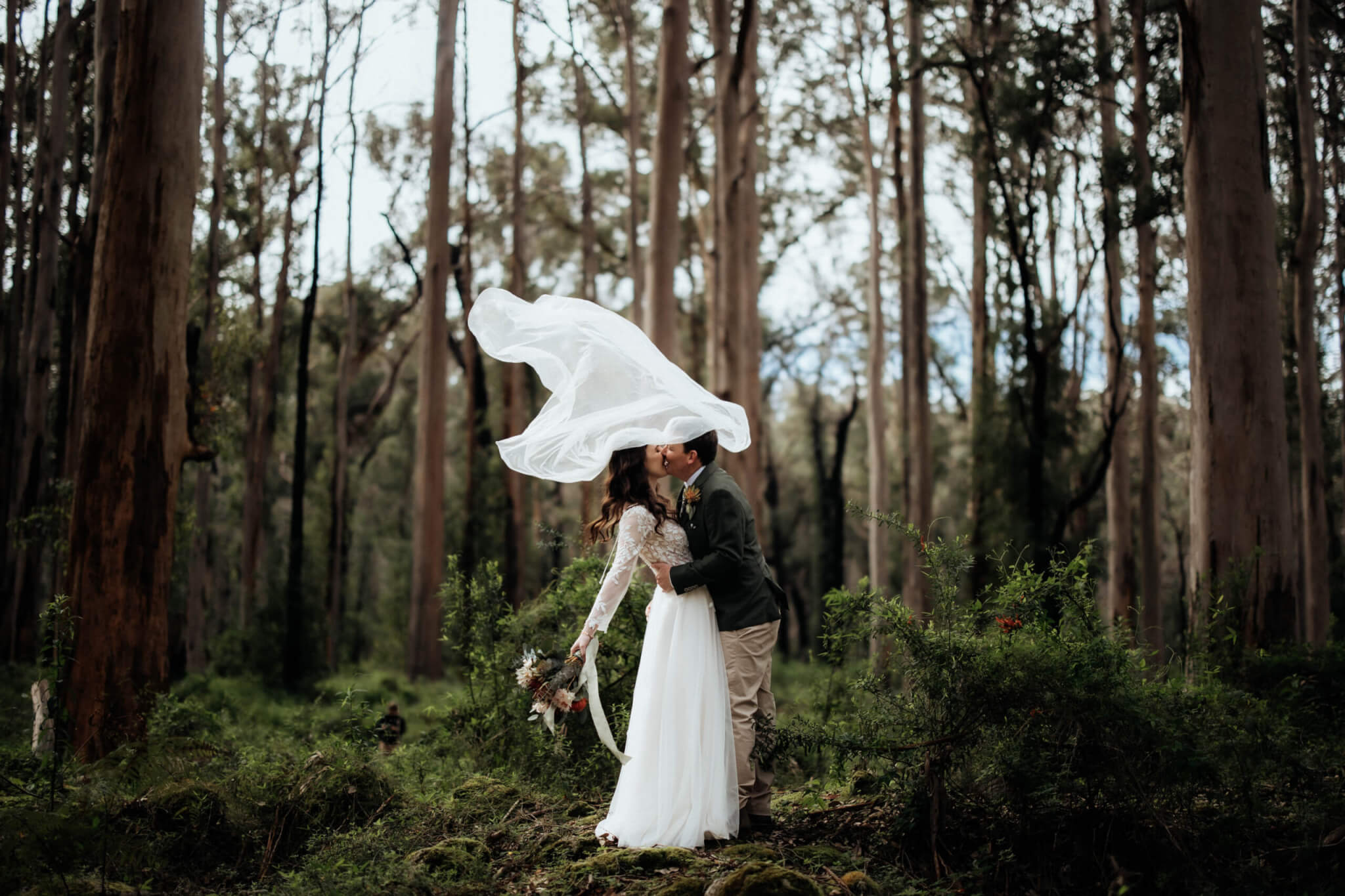 First look in Boranup Forest